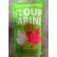 Flour - Quinoa - Gluten Free - NON GMO - Norquin Brand / 1 x 1.81 Kg / 4 Pounds